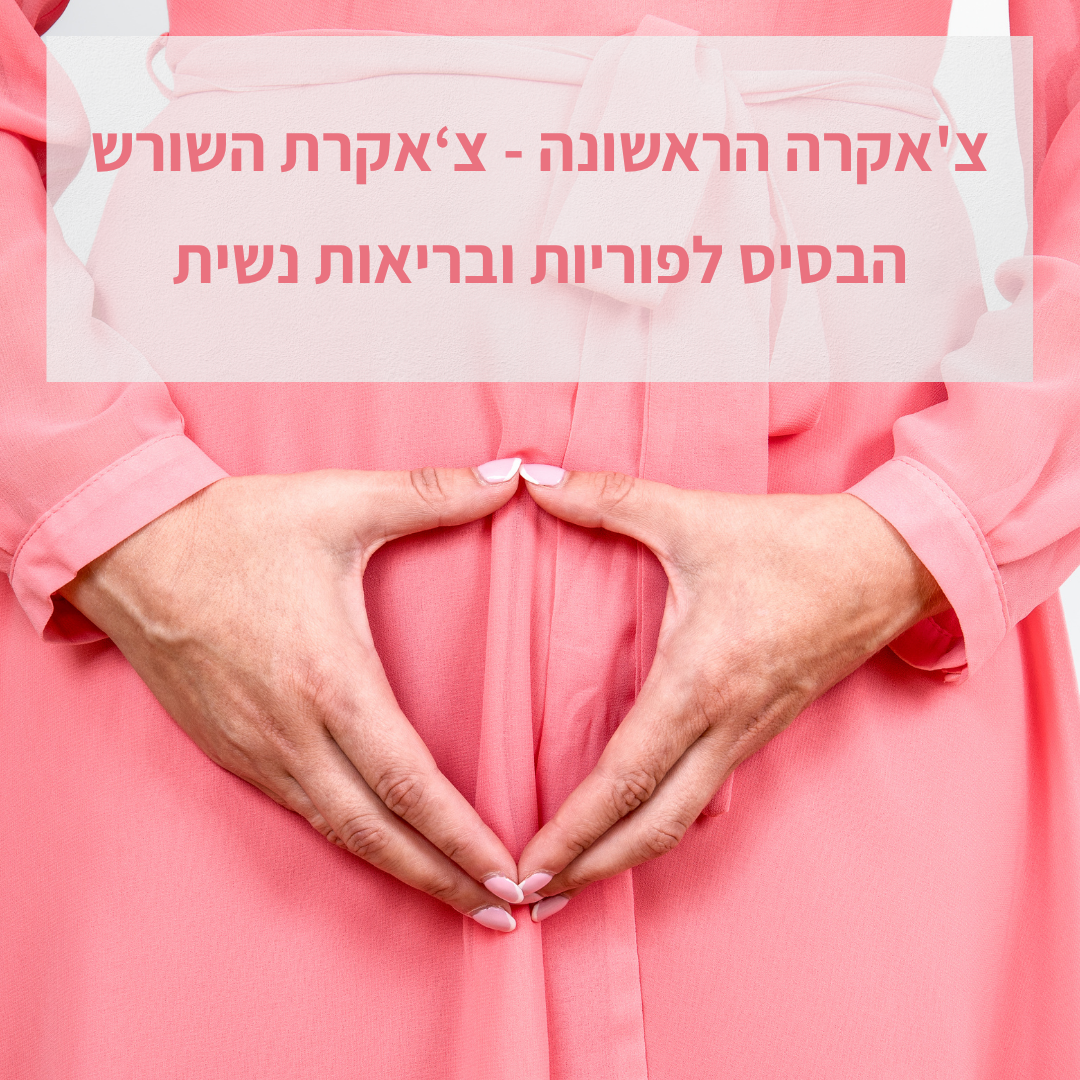 הצ'אקרה הראשונה – צ'אקרת השורש – הבסיס לפוריות ובריאות נשית